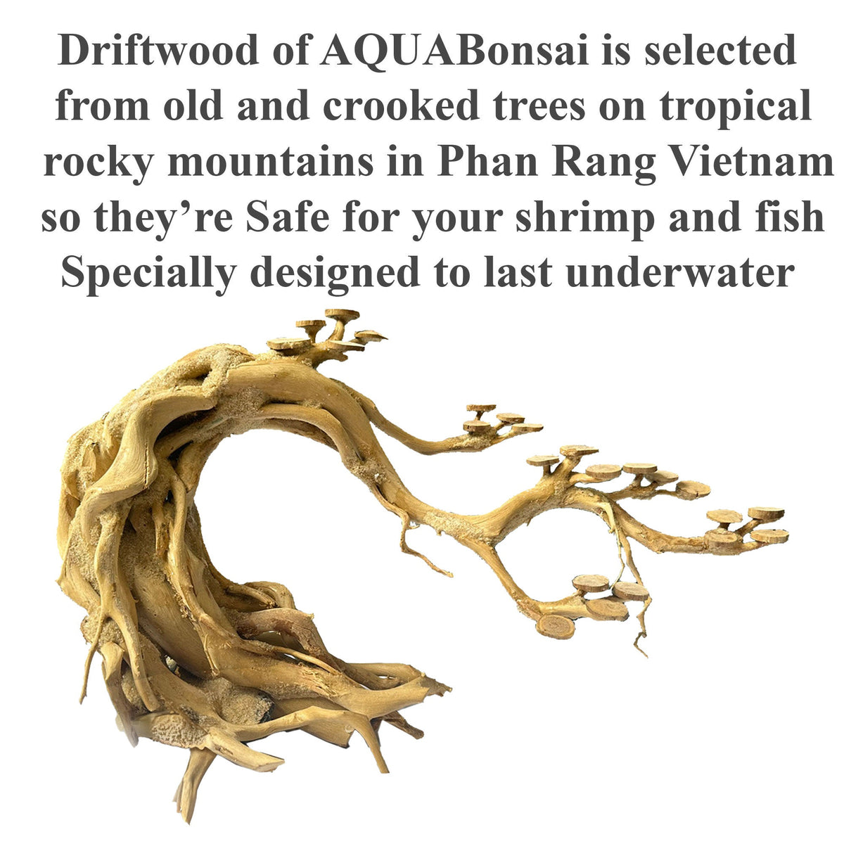 underwater bonsai tree Aquarium Driftwood Bonsai Tree – PlantedPro