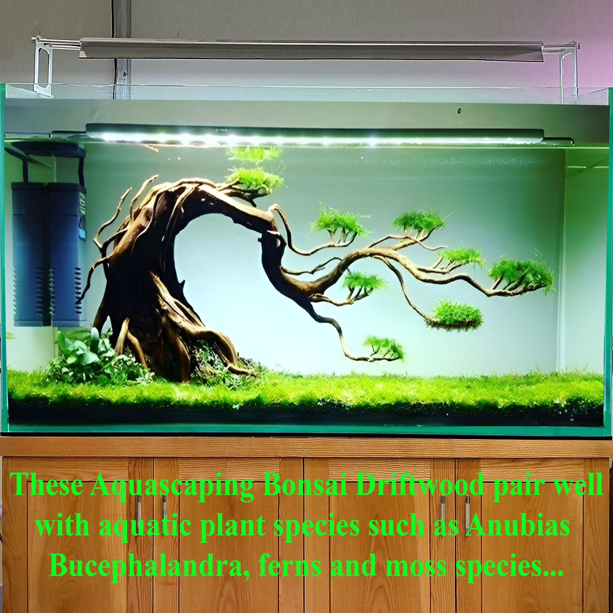 bonsai tree driftwood for aquarium Aquarium Driftwood Bonsai Tree