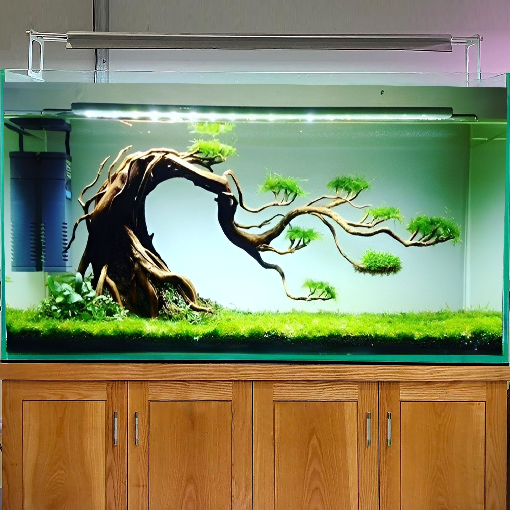 bonsai tree in fish tank Aquarium Driftwood Bonsai Tree – PlantedPro